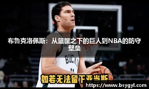 布鲁克洛佩斯：从篮筐之下的巨人到NBA的防守壁垒